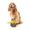Commanduck - Fuzzyard
