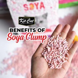 Kit Cat Soya Clump - Strawberry 7L / 2,5kg