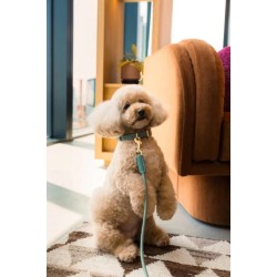 FuzzYard Life Atelier – Obroża dla psa L - Mirtowa Zieleń