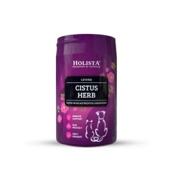 Holista Czystek