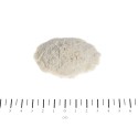 FLEXAN 150G