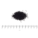 NASIONA CZARNEGO KMINKU 250G
