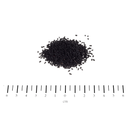NASIONA CZARNEGO KMINKU 250G
