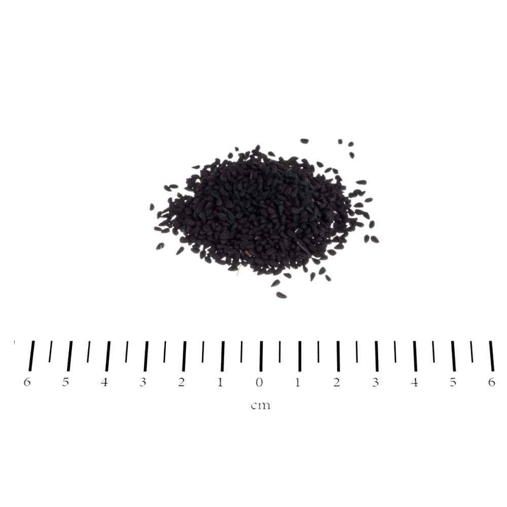 NASIONA CZARNEGO KMINKU 250G