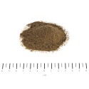 SENIOR VITAL 250G