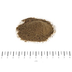 SENIOR VITAL 250G