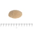 BIOTYNA FORTE W PROSZKU 200G