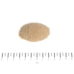 BIOTYNA FORTE W PROSZKU 200G