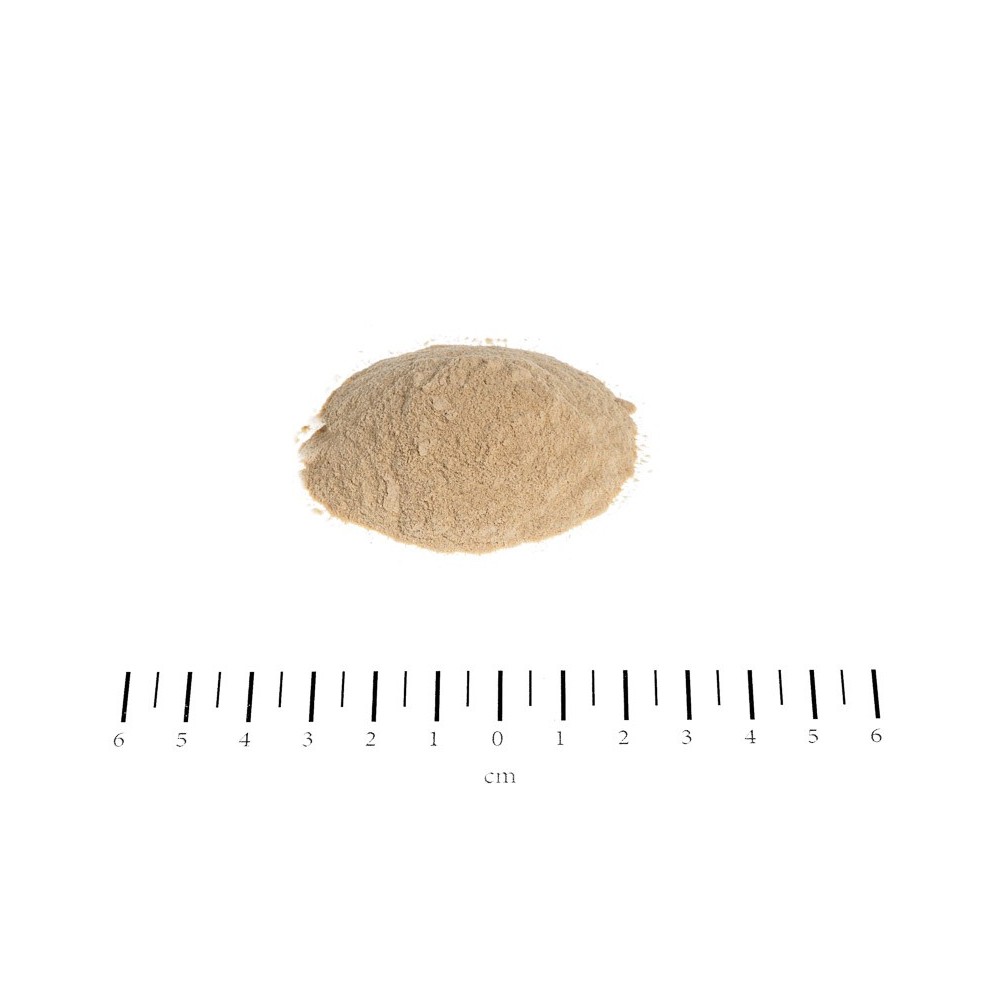 BIOTYNA FORTE W PROSZKU 200G