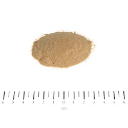 DROŻDŻE PIWOWARSKIE W PROSZKU 600G