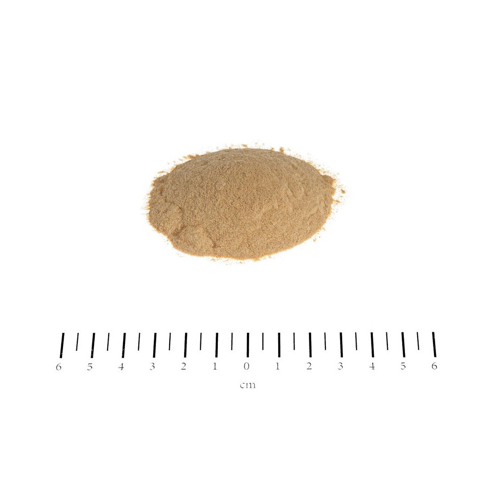 DROŻDŻE PIWOWARSKIE W PROSZKU 600G