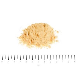 IMMUNE PROTECT OCHRONA SYSTEMU IMMUNOLOGICZNEGO 150G
