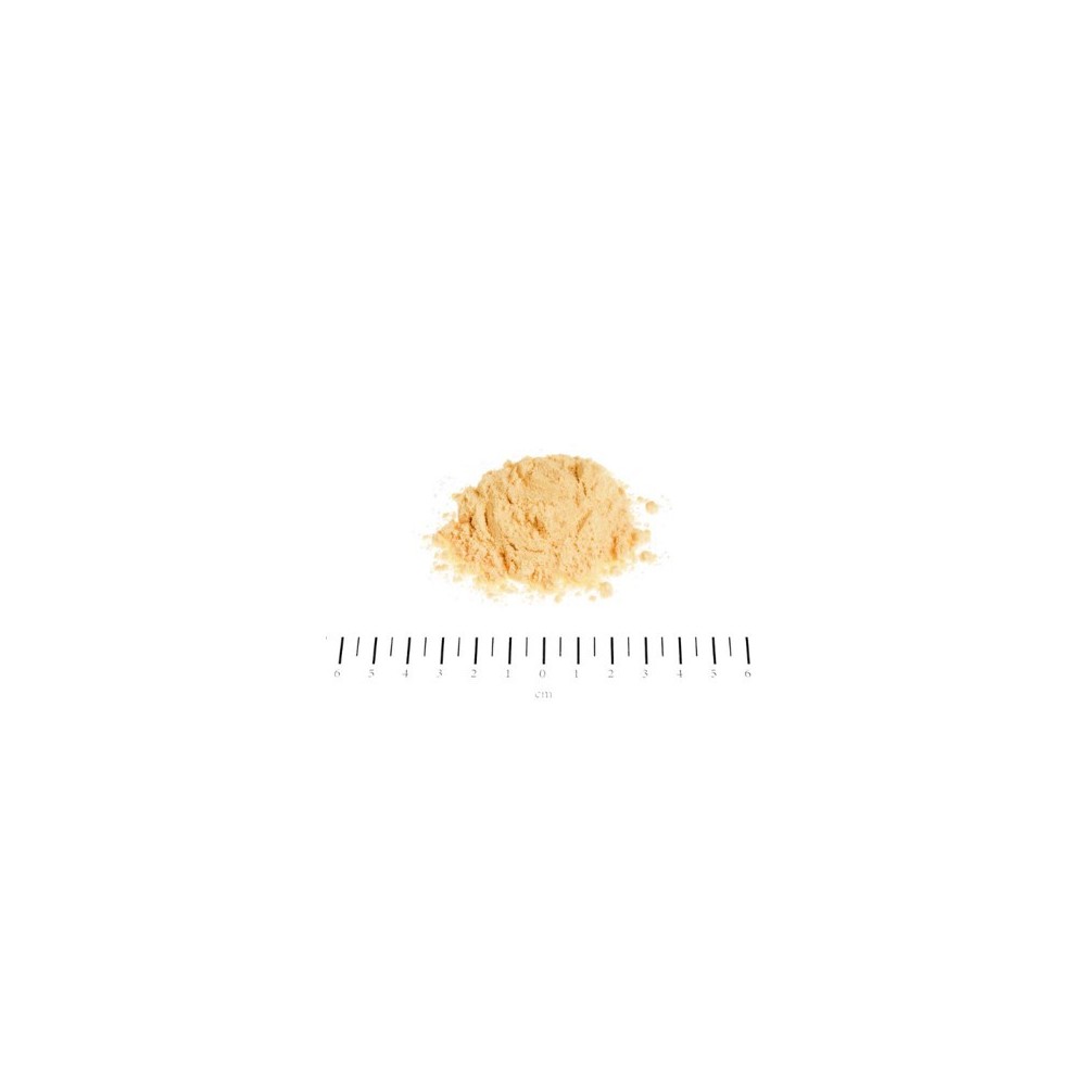 IMMUNE PROTECT OCHRONA SYSTEMU IMMUNOLOGICZNEGO 150G