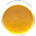 NOVAGard Green® Pielęgnacja łap 50ml