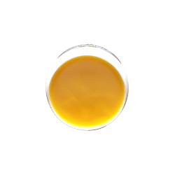 NOVAGard Green® Pielęgnacja łap 50ml