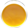 NOVAGard Green® Pielęgnacja łap 50ml
