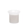 PŁYN DO USZU Z MIKROSREBREM 50ML